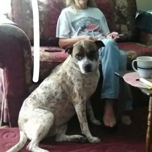 Meet your Posher, Carol